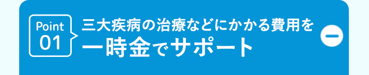 Point 三大疾病の治療などにかかる費用を
01 一時金でサポート
