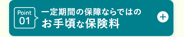 Point 01一定期間の保障ならではの
お手頃な保険料