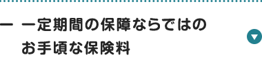 一定期間の保障ならではの
お手頃な保険料