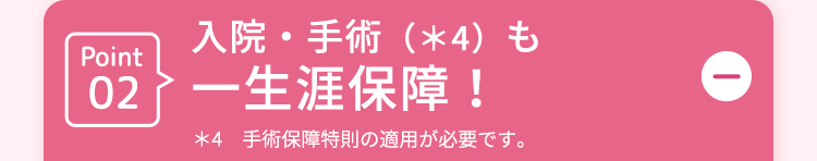 Point02入院・手術 (*4) も 一生涯保障!
*4 手術保障特則の適用が必要です。