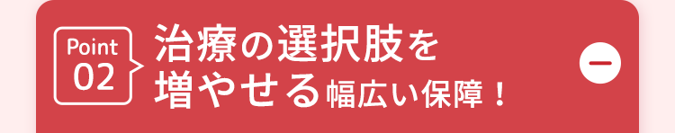 Point
治療の選択肢を
02 増やせる幅広い保障!
D