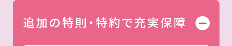 追加の特則・特約で充実保障