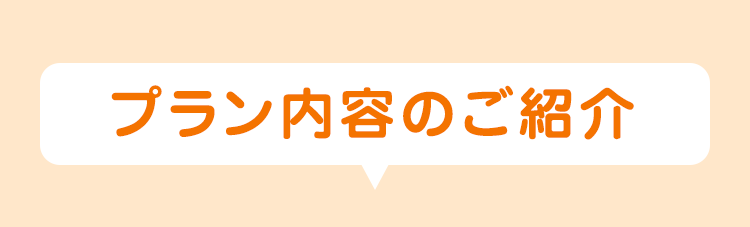 プラン内容のご紹介