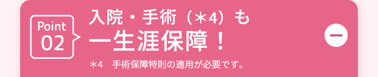入院・手術 (*4) も
Point
02 一生涯保障!
*4 手術保障特則の適用が必要です。
D