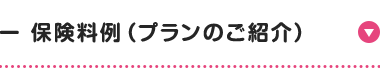 保険料例 (プランのご紹介)