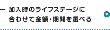 加入時のライフステージに
合わせて金額・期間を選べる