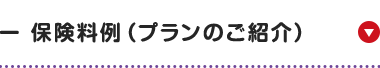 保険料例 (プランのご紹介)