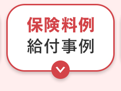 保険料例
給付事例
