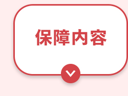保障内容