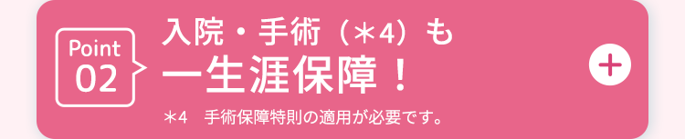 Point
入院・手術 (*4) も
02 一生涯保障!
*4 手術保障特則の適用が必要です。
+