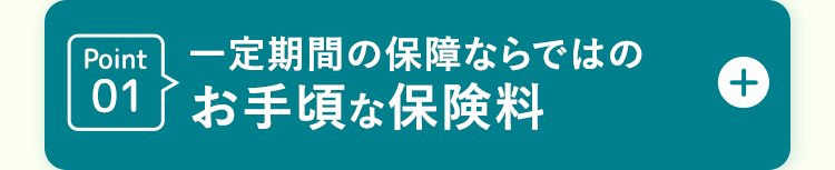 Point 一定期間の保障ならではの
01 お手頃な保険料
+