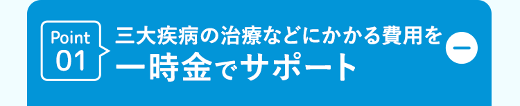D
Point 三大疾病の治療などにかかる費用を
01 一時金でサポート