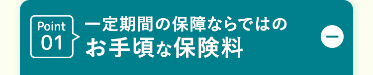 Point 一定期間の保障ならではの
01 お手頃な保険料
0