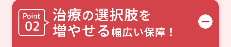Point
治療の選択肢を
02 増やせる幅広い保障!
D