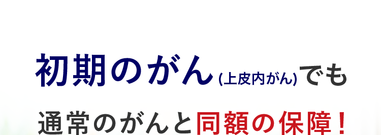初期のがん(上皮内がん)でも
通常のがんと同額の保障!
治療の選択肢を
増やせる
幅広い保障
■日経トレンディ 2026年5月号
TRENDY
2026年
保険大賞
保険完全ガイド
大賞 A
がん保険部門
がん保険
2026年版
ネオde がん ちりょう
<無解約返戻金型終身がん保険>
○ 必要な保障を必要な分だけ選べる
○ 安心のDaiichi Life グループ
(登) B26N2015