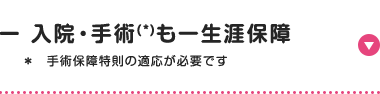 入院・手術 (*)も一生涯保障
* 手術保障特則の適応が必要です