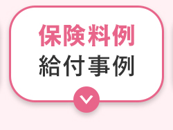 保険料例
給付事例