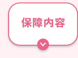 保障内容