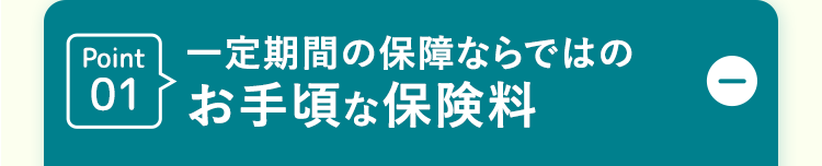 Point 01一定期間の保障ならではの
お手頃な保険料